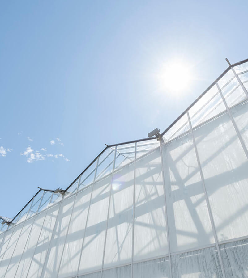 Greenhouse